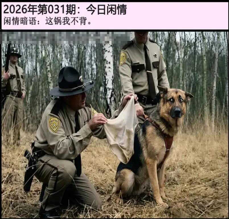 031期另版今日闲情[图]