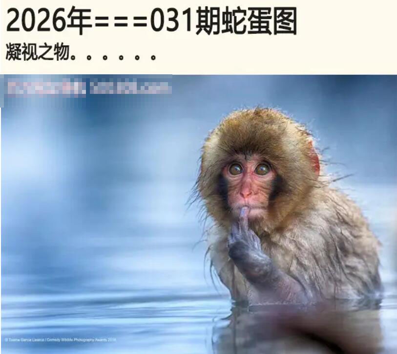 031期另版蛇蛋图[图]